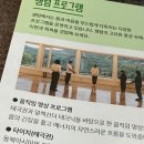바라보다트립