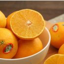 원 농장 이미지