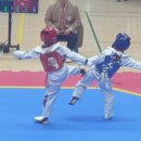 한국체대 올림픽 태권도장 이미지