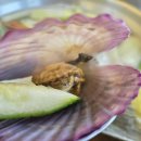 도로변(구로동로 174) | [맛집 추천] 송가인도 반한 가성비 칼국수 &amp; 쭈꾸미 맛집, 영종도 명동 더식당 (내돈내산)