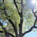 논공파출소 이미지