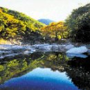 울산JC(울산)