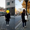 신나는쏘잉