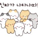 야당동 세탁소 이미지