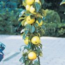 유천농장 이미지