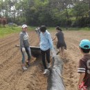 용인 마을협동조합에서 청소년 농부학교가 열립니다 이미지