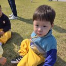 호수공원 가을꽃축제💗 이미지