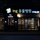 아이앤지동물병원 네이버블로그
