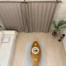 레이지베어 이미지