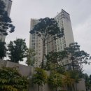 용인보건당약국 이미지