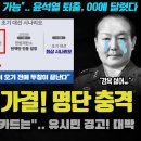 윤석열 탄핵 가결 명단 충격 이미지