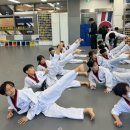 국가대표 한울태권도 이미지