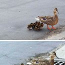 우째이런일이 이미지