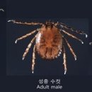 바글바글 이미지