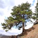 동로치안센터 이미지