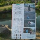 금왕읍사무소 이미지