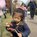 숲체험(은구비공원)🍂🍁 이미지