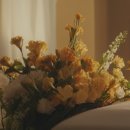 정관한의원 이미지