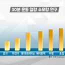 태웅2체육관 이미지