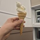 피자퐁당 | 청주 봉명동 맛집 샤브샤브엔 "퐁당샤브"