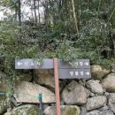 대안동 신흥사 구 대웅전 이미지