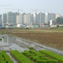 신평마을 이미지