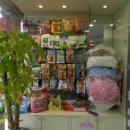 다솜동물병원 이미지