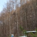 가을동화펜션 이미지