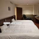 옵션그린마트/슈퍼 | 서튼호텔하카타시티 후기 그린패스 + 야끼니꾸까지 만족한 후쿠오카 호텔 추천