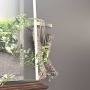 로즈마리 스머지스틱 만들기 | 체크 + 감정 아로마오일 향수 + 크리스마스 스머지스틱까지! 힐링 3콤보 클래스 영도체험 영도클래스...