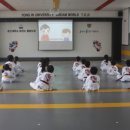 용인대 꿈누리 태권도 네이버블로그