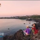 봄날처럼 민박 이미지