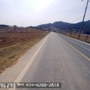 충남 예산군 예당저수지 가든,펜션부지 1143평-35만 초급매(62977) 이미지