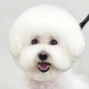 몽대디 이미지