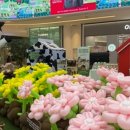 속리축산 네이버블로그