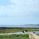 일과1리(대수동) 이미지