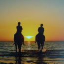 산청승마장 이미지