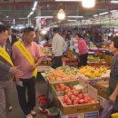 향토약국 이미지