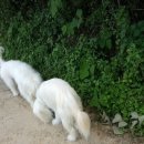 별무리 민박 이미지