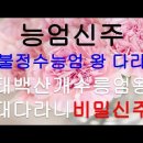 ▼ TV불교 불경 자막 - 능엄신주 + 대불정수능엄 왕 다라니 + 능엄경 비밀신주 이미지