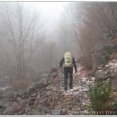 제 1,342차 전북 남원 지리산 중북부 능선 삼정산(1,225m) 산행 이미지