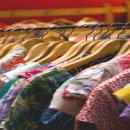 내린천자원 이미지