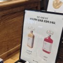 내돈내산 후기! 소하고택 콩고물라떼, 깨찰빵 / 오크베리x코르티스 콜라보 / 교토퍼펙트말차