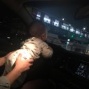 춘의역 (7번 출구) 이미지