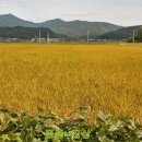 여주-0107 이미지