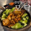 사차원 메디칼 | 부산 센텀시티 야장 맛집 모닥 ： 장작구이 낮술 성지 술집 후기