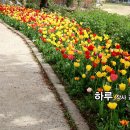 세미기획