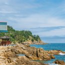 바다가 그리울때 이미지