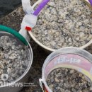 서산갯마을낙지 이미지