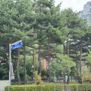 몸과 마음이 건강해지는 힐링요가 | [공지] [광교] 몸과 마음이 건강해지는 HY요가필 1년 수강 후기🧘🏻‍♀️
